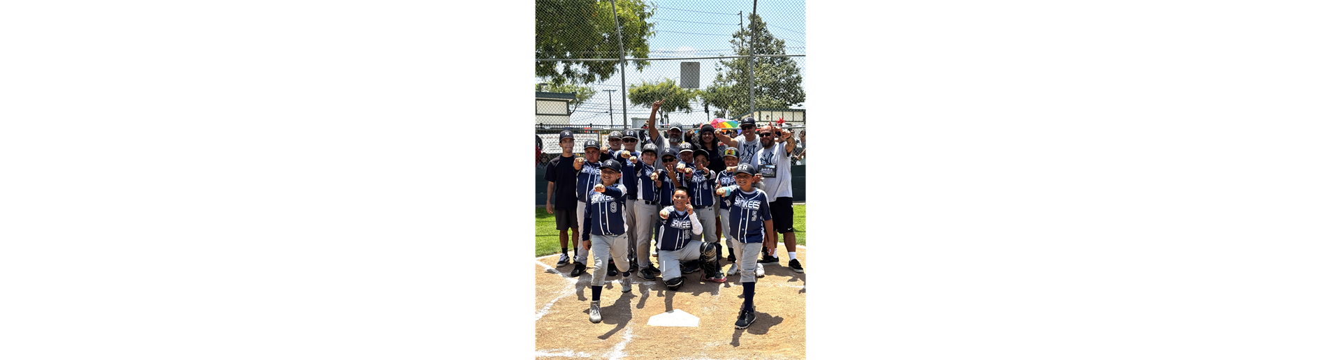 2026 Major Champions, Yankees!